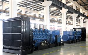 Calsion export 60hz 11KV 3000kva diesel generator to the Republic of Ecuador